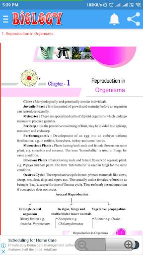 Class 12 Biology Notes screenshot 2