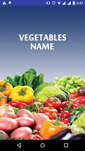 Vegetable Name 1 تصوير الشاشة