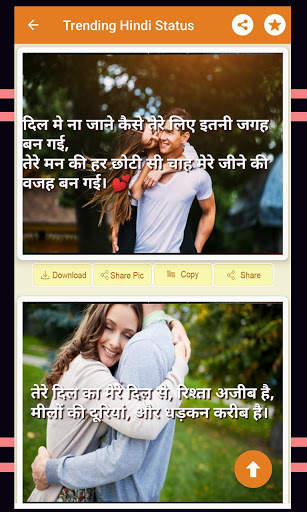 DP STATUS 2020 screenshot 2