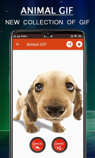 Animal Gif Stickers screenshot 16