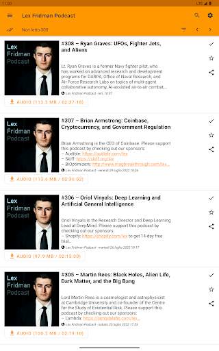 Lettore RSS offline screenshot 2