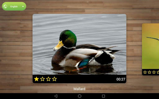 Bird Puzzle Games screenshot 7