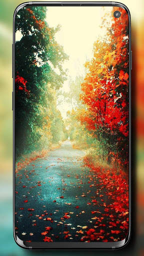 HD Wallpapers 2 تصوير الشاشة