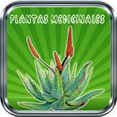 Medicinal Plants - Free Natural Medicine on 9Apps