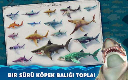 Hungry Shark World screenshot 14