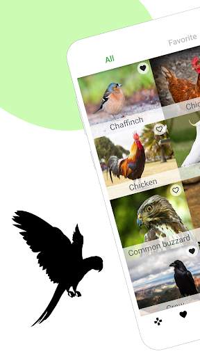 Bird sounds screenshot 1