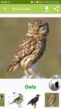 Bird Sound & Pictures screenshot 3