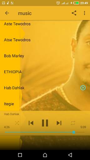 Teddy Afro Top - New Songs Without Internet screenshot 7