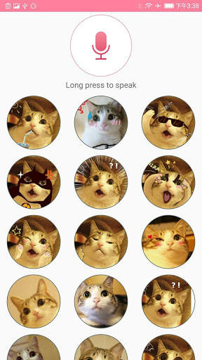 Human to Cat Translator screenshot 2