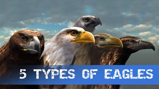 Eagle Hunting Journey screenshot 3