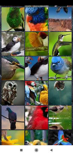 Bird Wallpaper Full HD screenshot 6