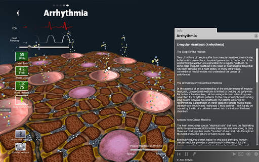 bodyxq heart screenshot 4