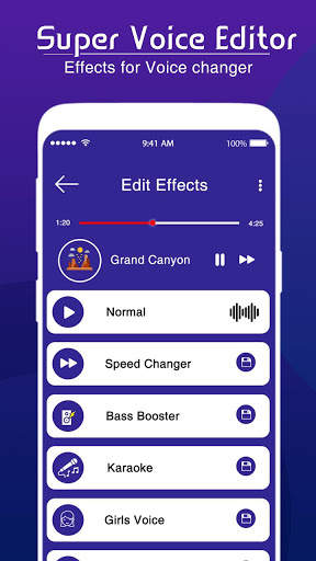 Super Voice Editor : Voice Changer - Audio Effect screenshot 5