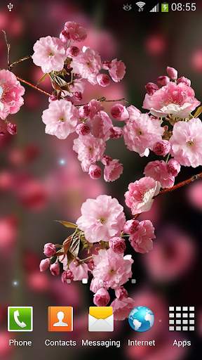 Sakura Live Wallpaper screenshot 1
