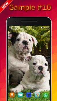 Dog Wallpaper screenshot 10