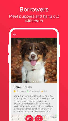 Meet My Doggo screenshot 5