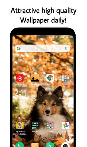 Dog status and wallpaper HD screenshot 4