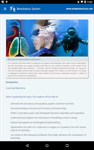 Respiratory System screenshot 1