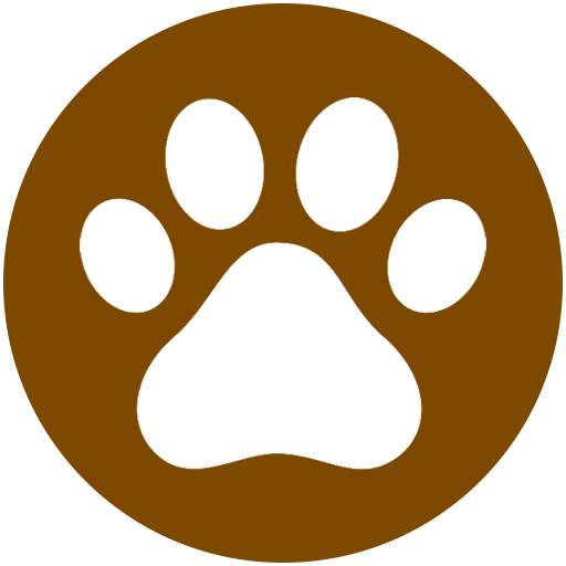 Games For Cats and Kittens 8