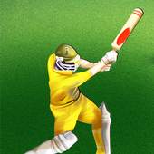 T20 Cricket Challenge 1.0