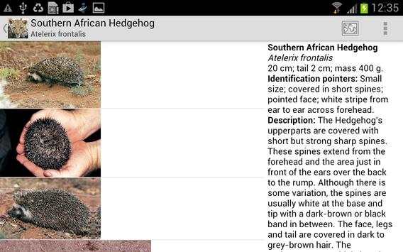 Mammals of SA Lite screenshot 4