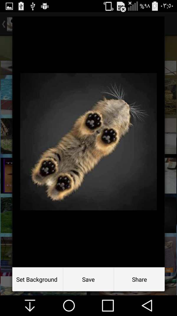 Cute and Funny Animals screenshot 5