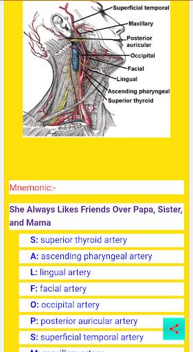 Anatomy and Physiology Notes screenshot 5