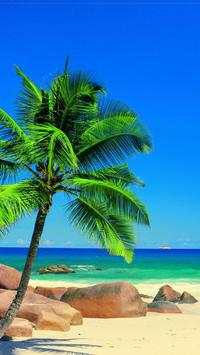Tropical Beach HD Wallpaper screenshot 2