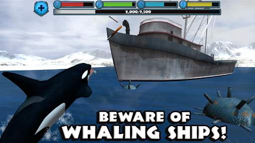 Orca Simulator screenshot 7