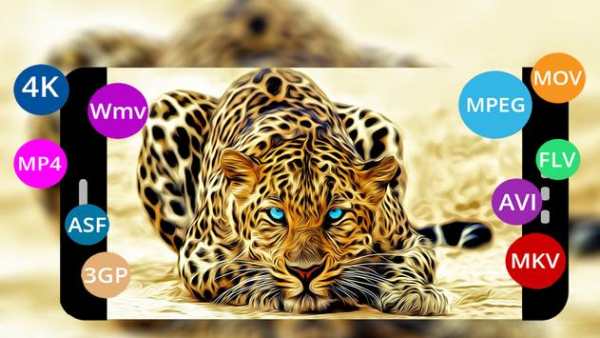 lecteur Real media player™ screenshot 4