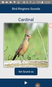 Bird Ringtons Sounds screenshot 5