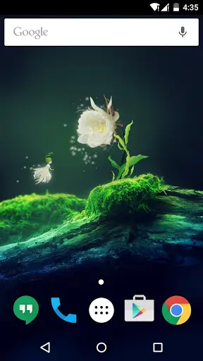 Cactus Flower Live Wallpaper скриншот 1