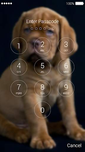 Cute Puppy Lock Screen screenshot 2