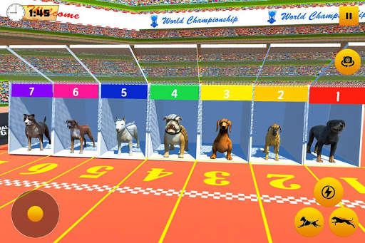 Dog Race Game: Dog Racing 3D screenshot 5