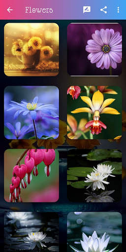 Dp And Status screenshot 3