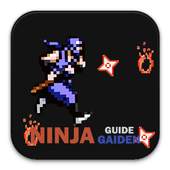 Guide Ninja Gaiden 1.0