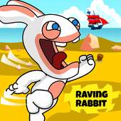 Rabbid Crazy Dash 1.0