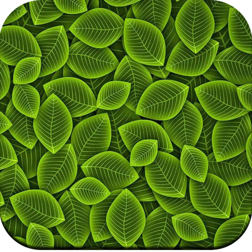 Texture Wallpaper HD icon