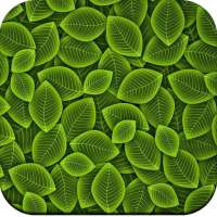 Texture Wallpaper HD logo