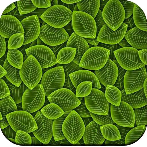 Texture Wallpaper HD 1.02