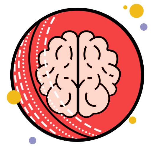 Brain Games Cricket Edition 3.9