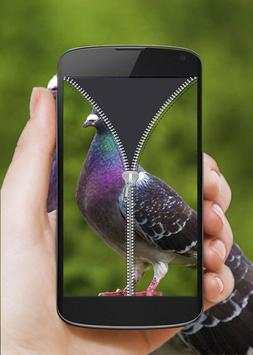 Bird Zip Screen Lock screenshot 3