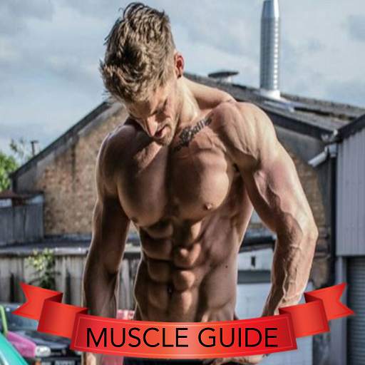 Muscle Guide 3.0