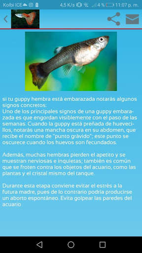 cria guppy screenshot 3