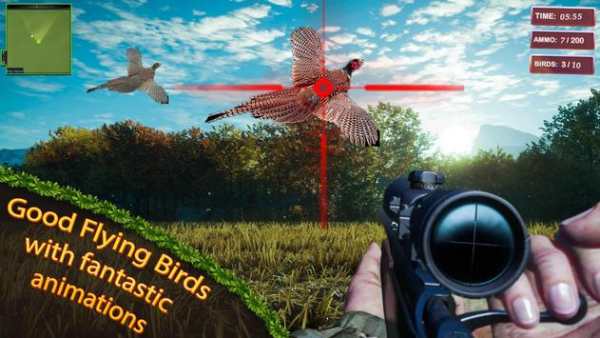 Bird Hunt - Bird Hunting and Shooting game screenshot 4