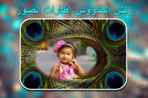 إطارات صور ريش الطاووس 1 تصوير الشاشة