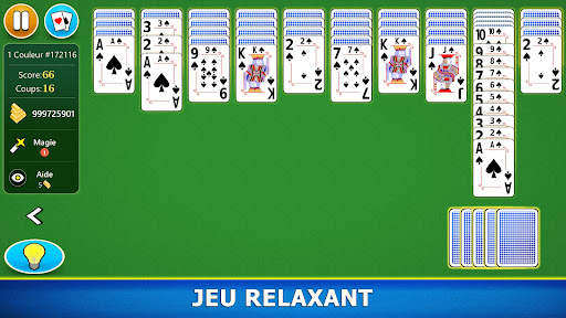 Spider Solitaire Jeu de Cartes screenshot 23