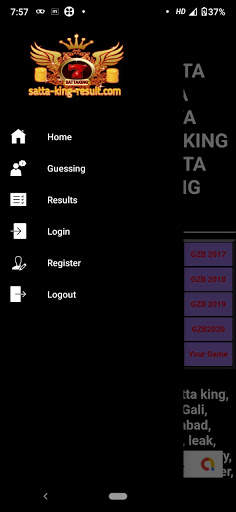 SATTA-KING-RESULT.COM screenshot 3
