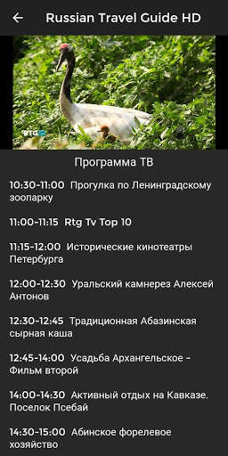 Онлайн ТВ каналы (МакС) скриншот 4