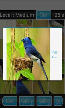 bird games puzzle screenshot 1